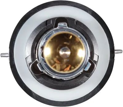 NAPA Lamps BP9008NVB2N view 13